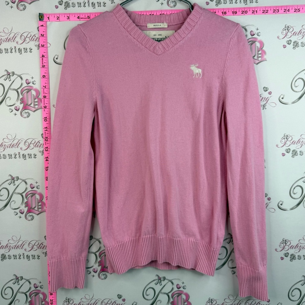 Abercrombie & Fitch bubblegum Pink V-Neck Sweater moose embroidery white